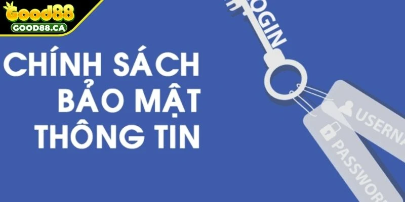 Kiểm soát và quản lý IP chặt chẽ